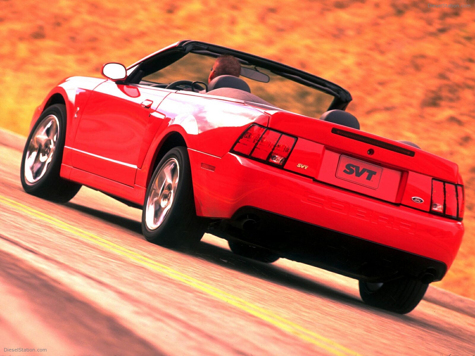 Ford Mustang Cobra (2003)